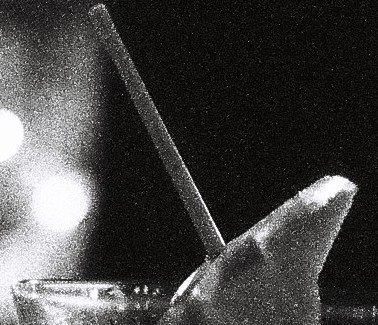 F1000023_crop1