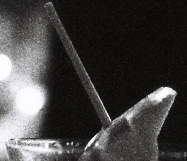 F1000023_crop1_despeckle